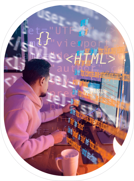 Expert Web Design & Development Expert Web Design & Development