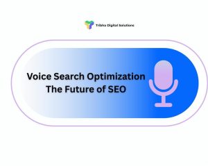 Voice Search Optimization The Future of SEO